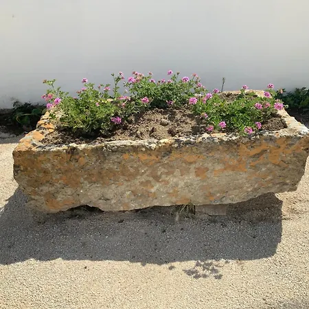 Quinta Da Ema Nyaraló Santo Estevao das Gales