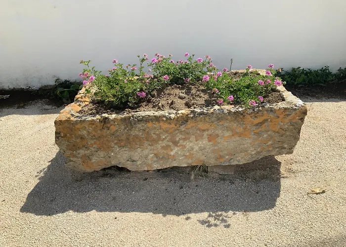 Quinta Da Ema 度假居 Santo Estevao das Gales
